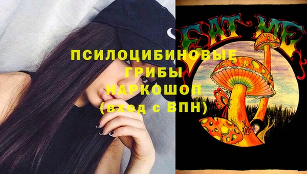 дурь Приозерск