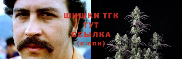 молекула духа Покров