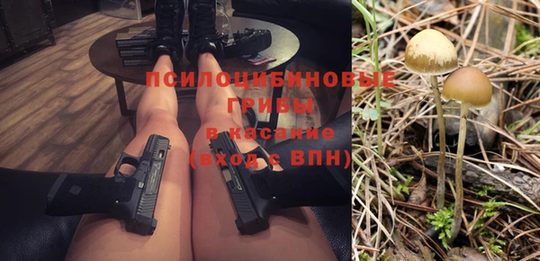 дурь Приозерск