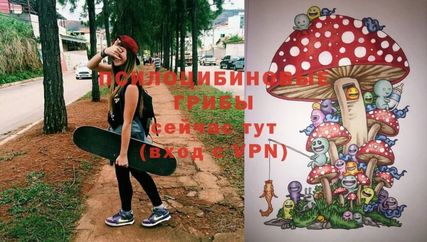 молекула духа Покровск