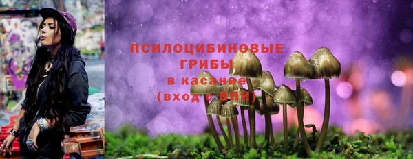 дурь Приозерск