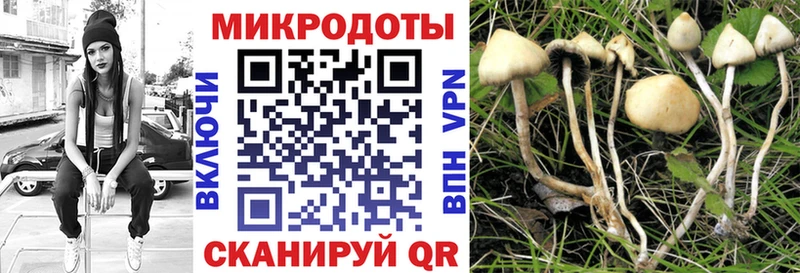 Галлюциногенные грибы Magic Shrooms  сколько стоит  Ясногорск 